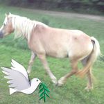 Profile Picture of Joseph Wasko (@waskojoseph) on Instagram