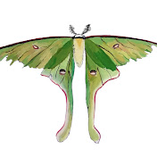 Profile Picture of David Kirkland (@davidkirkland-w2i) on Youtube