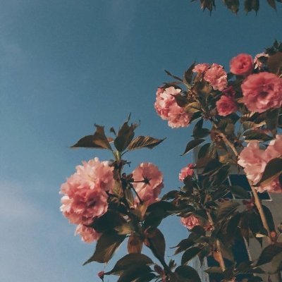 Profile Picture of Mark Adame (@MarkAda47030966) on Twitter