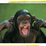 Profile Picture of lucy rivera (@lucy24mafia) on Instagram