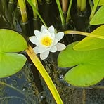 Profile Picture of Michèle Amthor (@michele.amthor.9) on Facebook