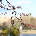 Profile Picture of Trisha Roberts (@Trisha-Roberts) on Facebook