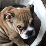 Profile Picture of Sam Clayborough (@sam.__.claybz) on Instagram