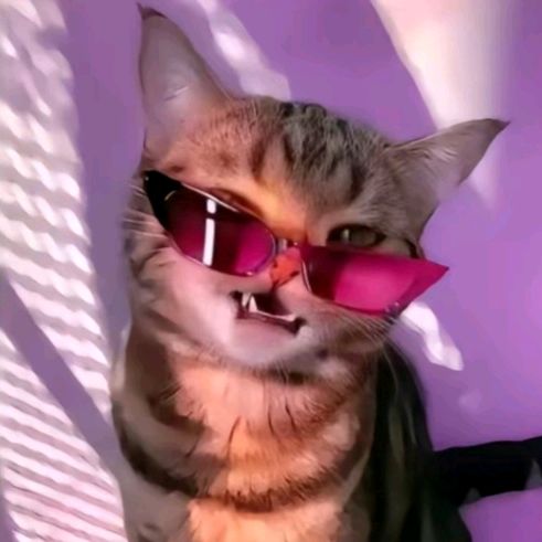 Profile Picture of joseph_bakker (@josephbakker_backup2) on Tiktok