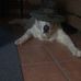 Profile Picture of Joseph Colasacco (@joseph.colasacco.7) on Facebook