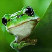 Profile Picture of Hoi Chan (@hoichan8855) on Youtube