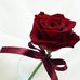 Profile Picture of Qaseem Qaseem (@qaseem.qaseem.1675) on Facebook