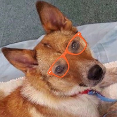 Profile Picture of Nicki Knopp (@n_knopp) on Twitter