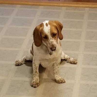 Profile Picture of Josh Levin (@DeepFriarMedia) on Twitter