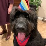 Profile Picture of Kimberly Roberts (@kimberlyroberts956) on Instagram