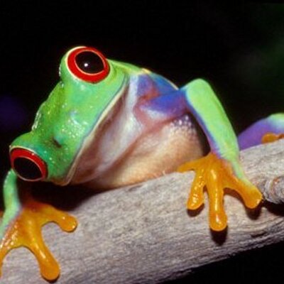 Profile Picture of Lori Hanselman (@WeRNRG) on Twitter