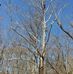 Profile Picture of Brian Claycomb (@brian.claycomb.507) on Facebook