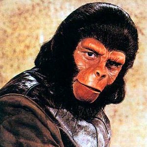 Profile Picture of Simonegallina (@simao_g) on Myspace