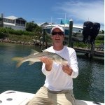 Profile Picture of Steve Moseley (@smoseley555) on Instagram