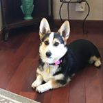 Marsha Fortune - Instagram Profile Picture of Marsha Fortune (@fortunemeems) on Instagram