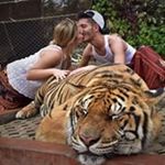 Profile Picture of Kevin Antonelli (@kevin.antonelli.7) on Instagram