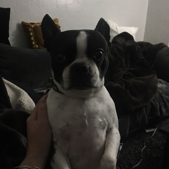 Julie Lazarakis - Poshmark Profile Picture of Julie Lazarakis (@julieakis) on Poshmark