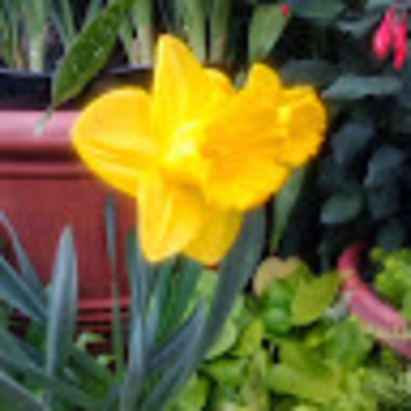 Profile Picture of Stacey Marshall (@staceygayle1863) on Poshmark