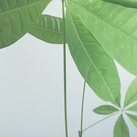 Profile Picture of Summer Bratcher (@summer-bratcher-2) on Quora