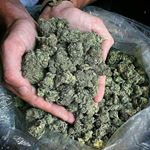 Profile Picture of torreyglenn (@torreyglenn) on Instagram