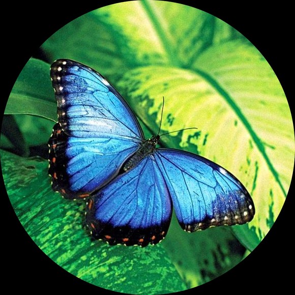 Profile Picture of Ashley Trezek (@ashtrez0702) on Poshmark