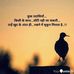 Profile Picture of Rafia Qadeer Khan (@umra.umrakhan.35) on Facebook
