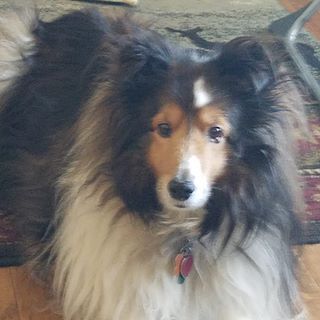 Profile Picture of Mike Sorg (pam) (@pamela.sorg) on Facebook