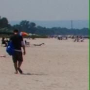 Profile Picture of Martin Bonner (@MartinBonner3) on Twitter