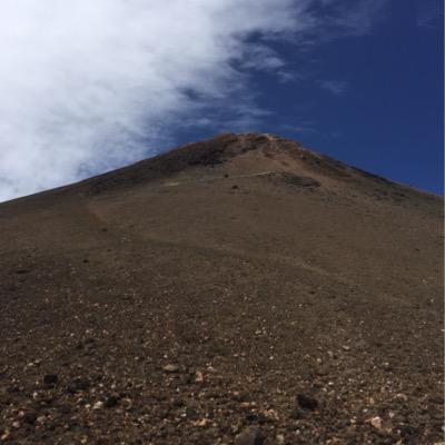 Profile Picture of Andy Schmidt (@ZippBeutel) on Twitter
