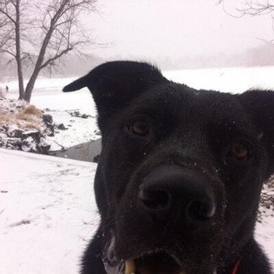 Profile Picture of Eamonn Breen (@EamonnBreen) on Twitter