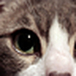 Profile Picture of Ruth Rubio (@ruth rubio luque) on Flickr