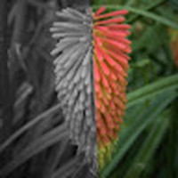 Profile Picture of Gavin Cullen (@gavin-cullen-7) on Quora