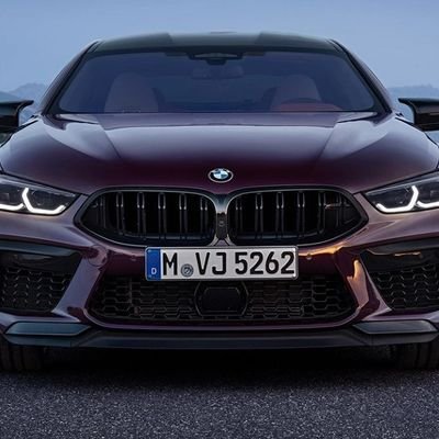 Profile Picture of Nikola Stojanovic (@NikolaS89954881) on Twitter