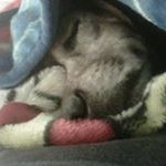 Profile Picture of Billie Ruth Rawls Harvey (@billieruthharvey) on Instagram