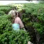 Profile Picture of brookex63 (@@brookex63) on Tiktok