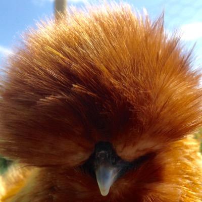 Ben Everitt - Twitter Profile Picture of Ben Everitt (@BenEveritt2) on Twitter