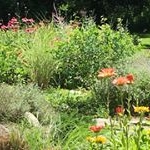 Profile Picture of Deborah Helmke (@deborah.helmke) on Instagram