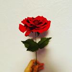 Profile Picture of Kate Hare (@felts.andflowers) on Instagram