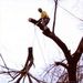 Profile Picture of Erik Lowell (@eriklowell) on Pinterest