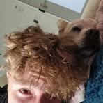 Profile Picture of Bailey Foster (@Bailey-Foster) on Facebook