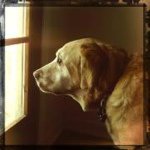 Profile Picture of Mike Freeman (@mikewfree) on Instagram