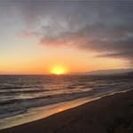 Profile Picture of Mark Aimone (@markaimone) on Instagram