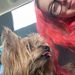 Profile Picture of Paige Lusczyk (@lusczyk) on Pinterest