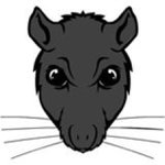 Profile Picture of Jeremy Sweckard (@jjs104) on Instagram