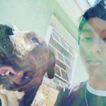Profile Picture of Larry __Aaron (@aaronlarryaugustus11) on Instagram
