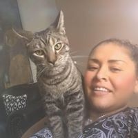 Profile Picture of Yolanda Hernandez (@yolanda-hernandez-27) on Quora