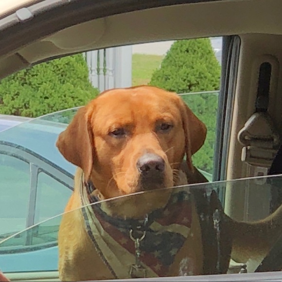 Profile Picture of Marlene Econom (@meconom) on Poshmark