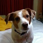 Profile Picture of Nathaniel Earl (@nathaniel.earl.14) on Instagram