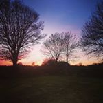 Profile Picture of lisa Connaughton (@sequinn42) on Instagram