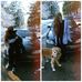 Profile Picture of Ivy Starr (@ivygrifffin) on Facebook